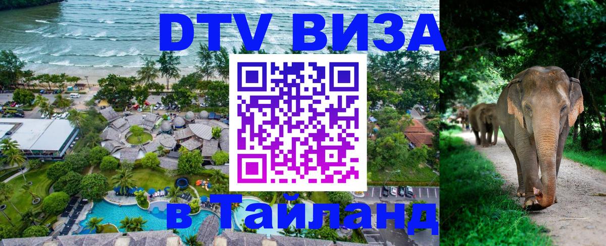 Оформление DTV визы под ключ: стоимость и тарифы, только загранпаспорт - Нижний Тагил  05.10.2025 